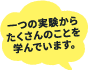 一つの実験からたくさんのことを学んでいます。