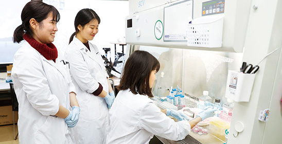 安全キャビネット 画像