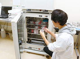 CO2インキュベーター 画像