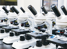 生物顕微鏡 画像