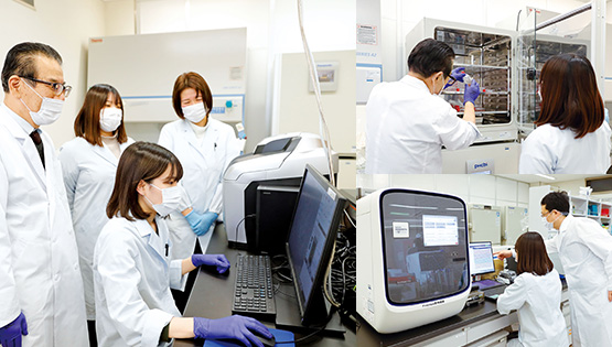 インターンシップ 画像