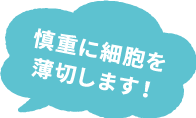 慎重に細胞を薄切します！