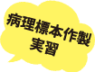 病理標本作製実習