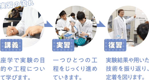 実習の流れ：座学で実験の目的や工程について学びます。→一つひとつの工程をじっくり進めていきます。→実験結果や用いた技術を振り返り、定着を図ります。