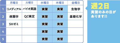 週2日実習のみの日があります！！