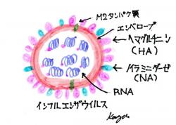 blogPhoto