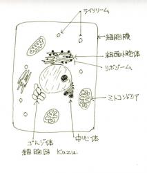 blogPhoto