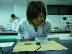 blogPhoto