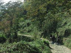 blogPhoto
