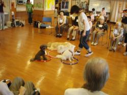 blogPhoto