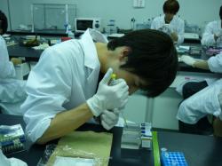 blogPhoto