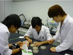 blogPhoto